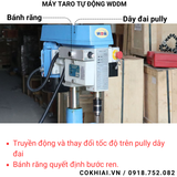 Máy taro tự động bánh răng WDDM