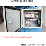 Máy taro tự động bánh răng WDDM