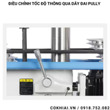 Máy khoan bàn taro WDDM ZS4120D