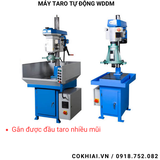 Máy taro tự động bánh răng WDDM