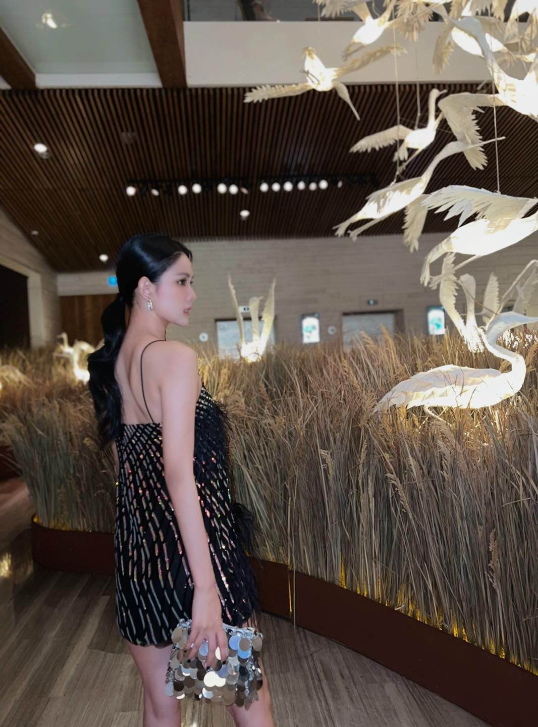 Đầm A Lông Vũ