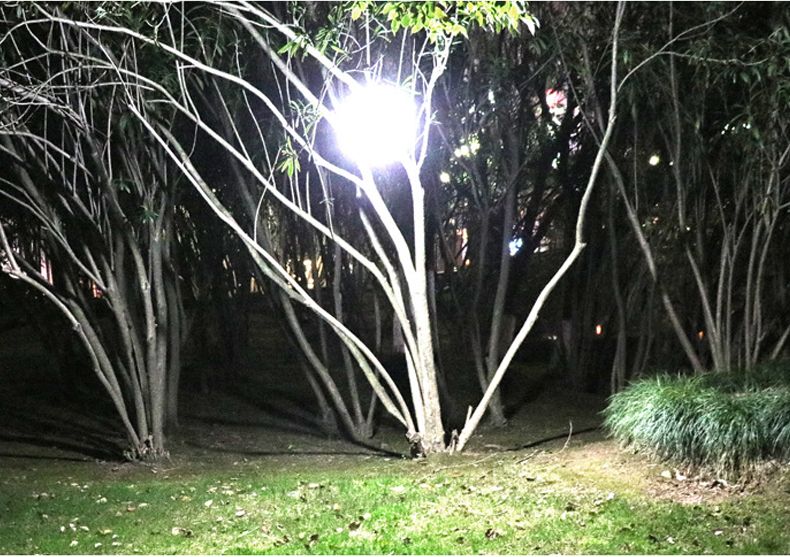 Bóng Đèn Năng Lượng Mặt Trời 100W 42LED