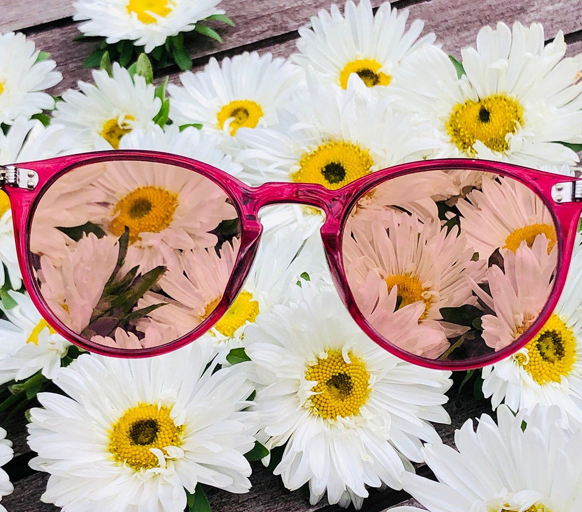 Kính râm Oliver Peoples O'malley Sun OV5183S 1643PO