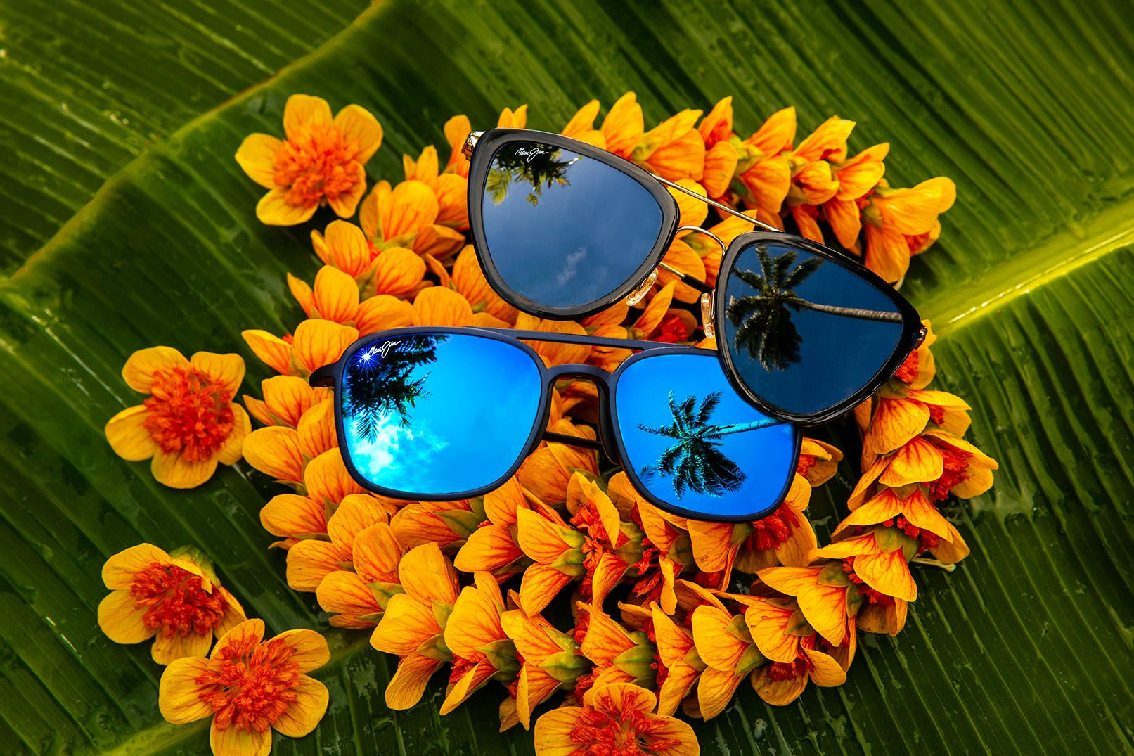 Maui Jim Hunakai HS331-10 sunglasses