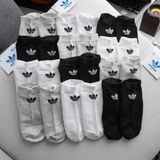  Vớ Adidas cổ thấp VNXK 