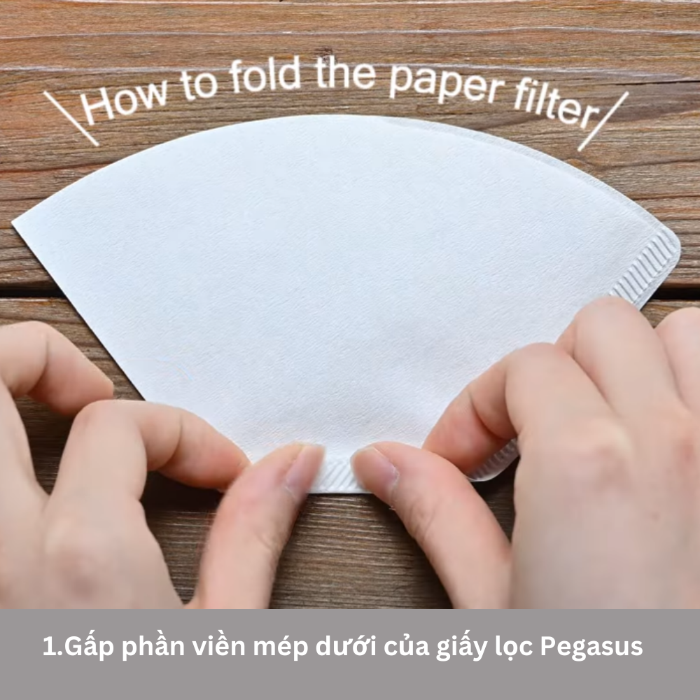 Giấy lọc cà phê Hario Pegasus coffee paper filter 100 tờ, size 02 PEF-02-100 (hình thang, 2 màu Trắng & Nâu)