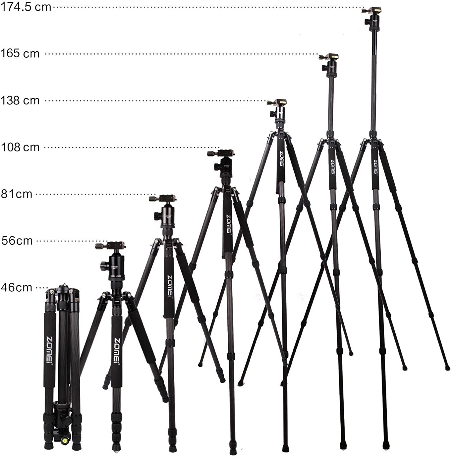 Cho thuê ZOMEI Carbon Fiber Tripod