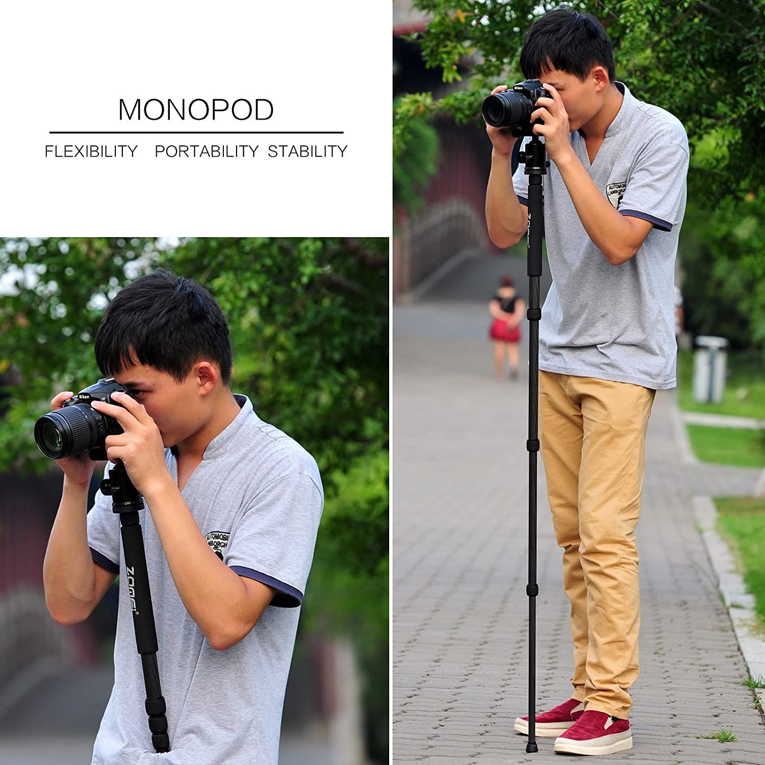 Cho thuê ZOMEI Carbon Fiber Tripod
