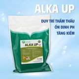  ALKA UP - Khoáng tăng kiềm 