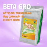  BETA GRO - Acid hữu cơ dạng bột 