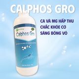  CALPHOS GRO - Khoáng sữa cho tôm 