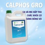  CALPHOS GRO - Khoáng sữa cho tôm 