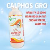  CALPHOS GRO - Khoáng sữa đa vi lượng, chắc khỏe cơ, hấp thu nhanh 