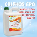  CALPHOS GRO - Khoáng sữa đa vi lượng, chắc khỏe cơ, hấp thu nhanh 