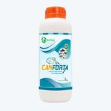  CANFORTA - Cung cấp vitamin và acid amin 