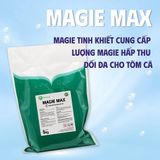  MAGIE MAX - Cung cấp Magie cao cấp 