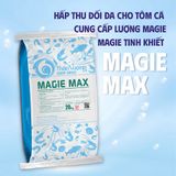  MAGIE MAX - Cung cấp Magie cao cấp 