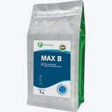  MAX B - Vi sinh xử lý đáy nước 