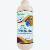  POWER GLUTA - Diệt khuẩn phổ rộng, nấm, ký sinh trùng 