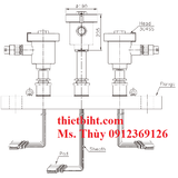 Cảm biến nhiệt độ chống cháy nổ R930