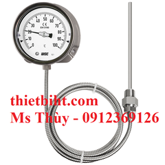 Đồng hồ nhiệt độ wise T210 ( nhiệt kế dạng dây)