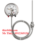 Đồng hồ nhiệt độ tiếp điểm điện dạng dây T760 - Wise Hàn Quốc