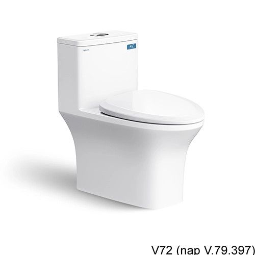 Bàn Cầu Một Khối V72