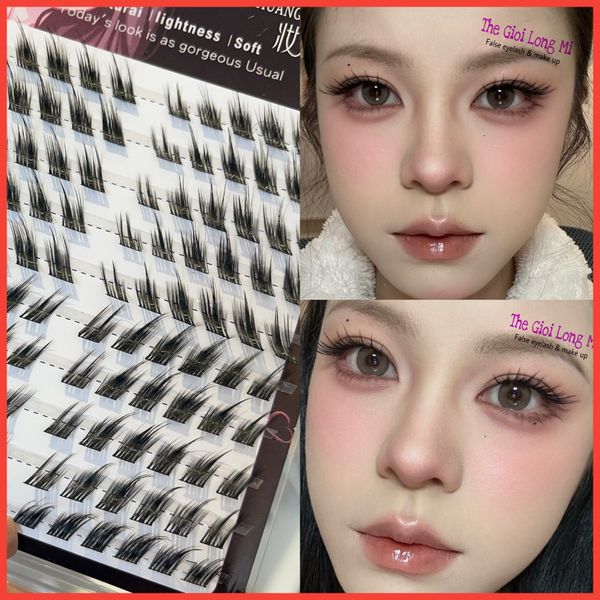 Zhuang Cai Yan Lông mi tự nối dáng mắt xếch (120 miếng)