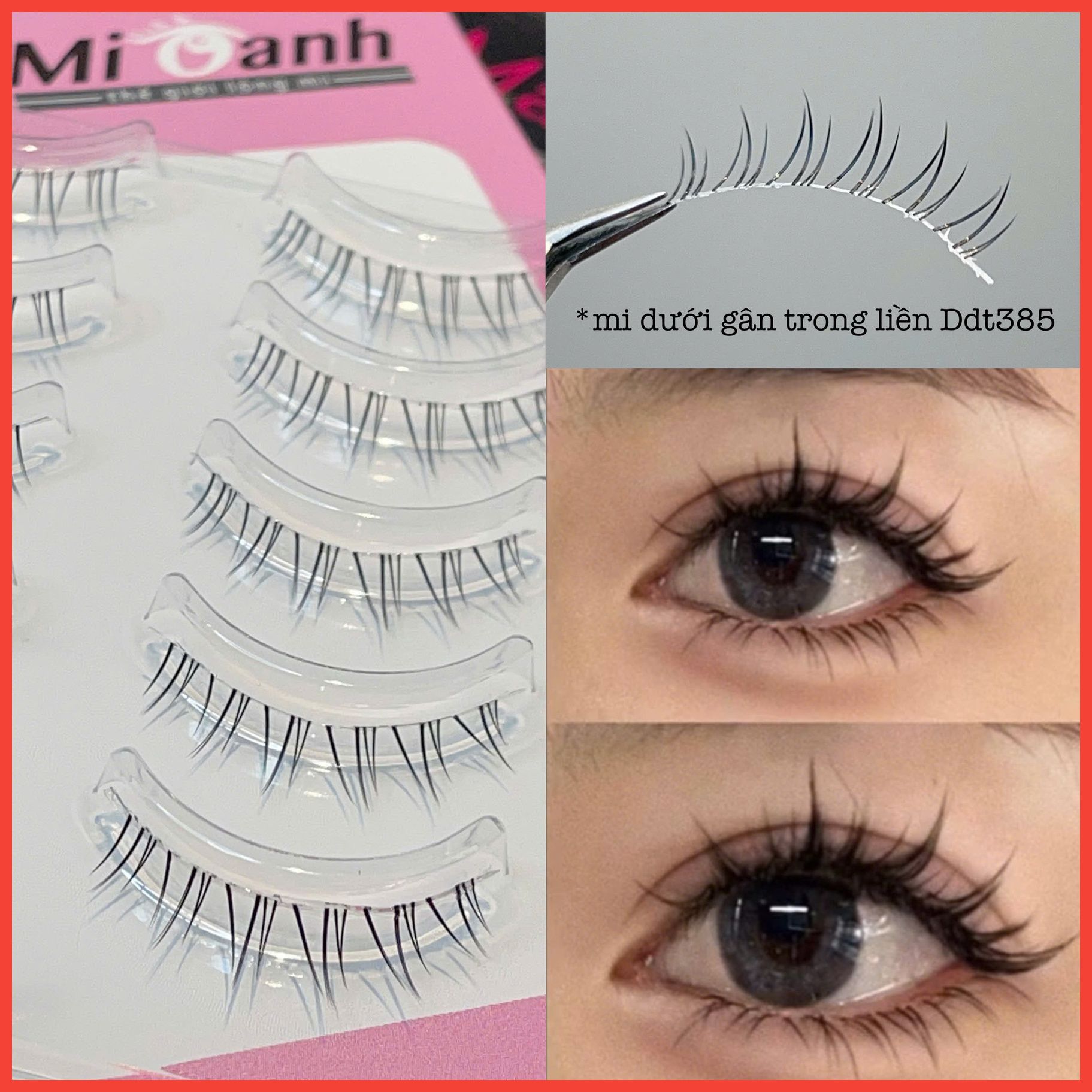 Ddt385 hộp lông mi giả viền gân trong 5 cặp thương hiệu Mi Oanh