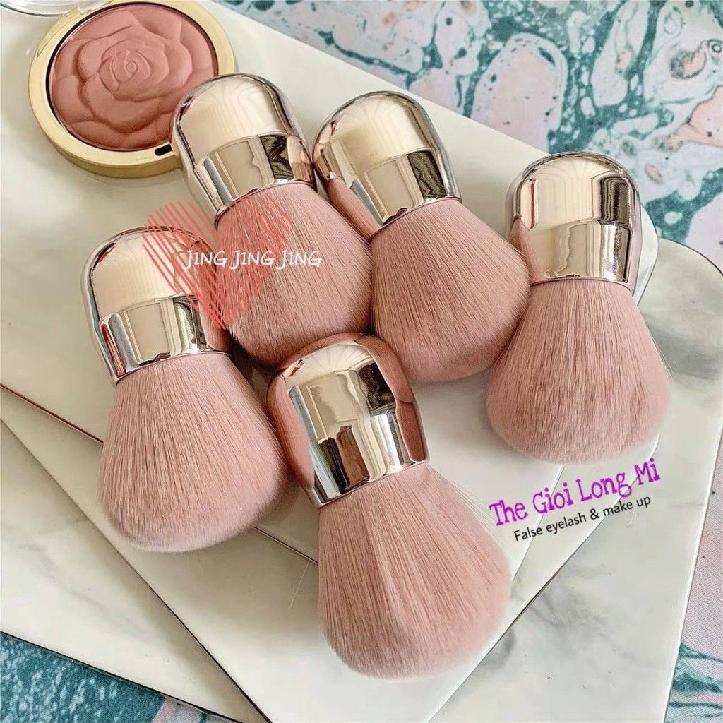 CỌ MÁ NGẮN ĐẦU TRÒN