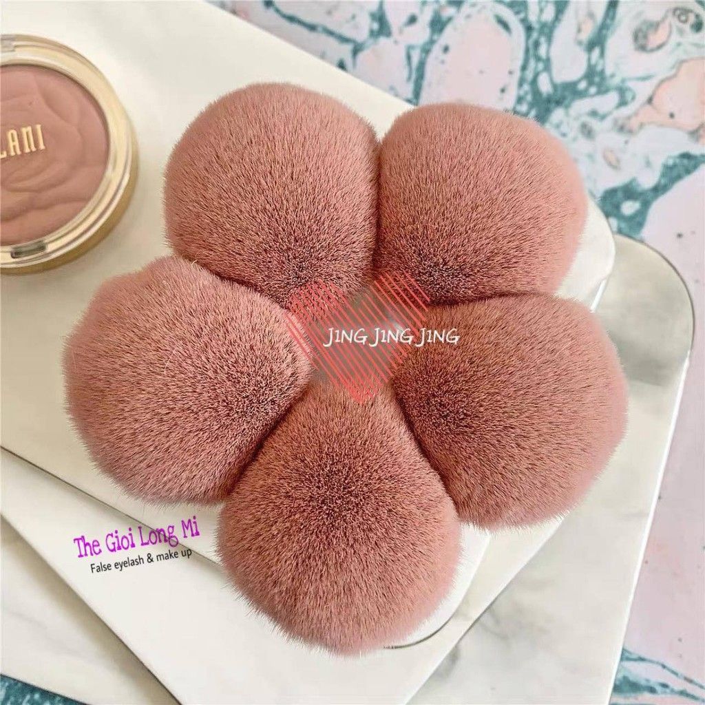 CỌ MÁ NGẮN ĐẦU TRÒN
