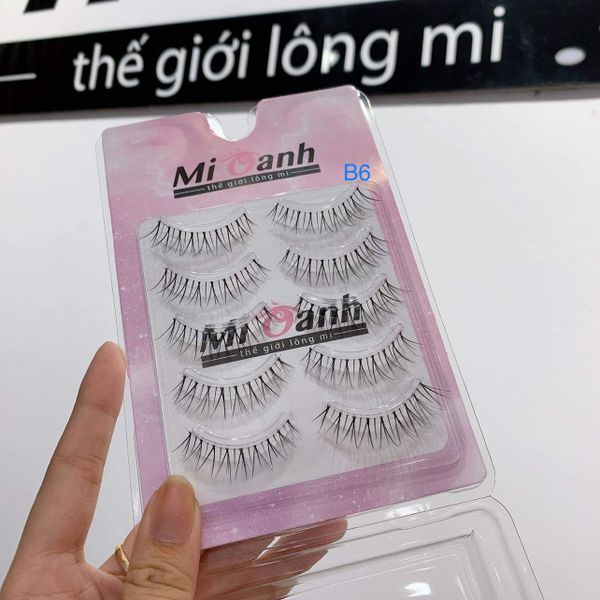 [B06] LÔNG MI VIỀN GÂN TRONG MI OANH
