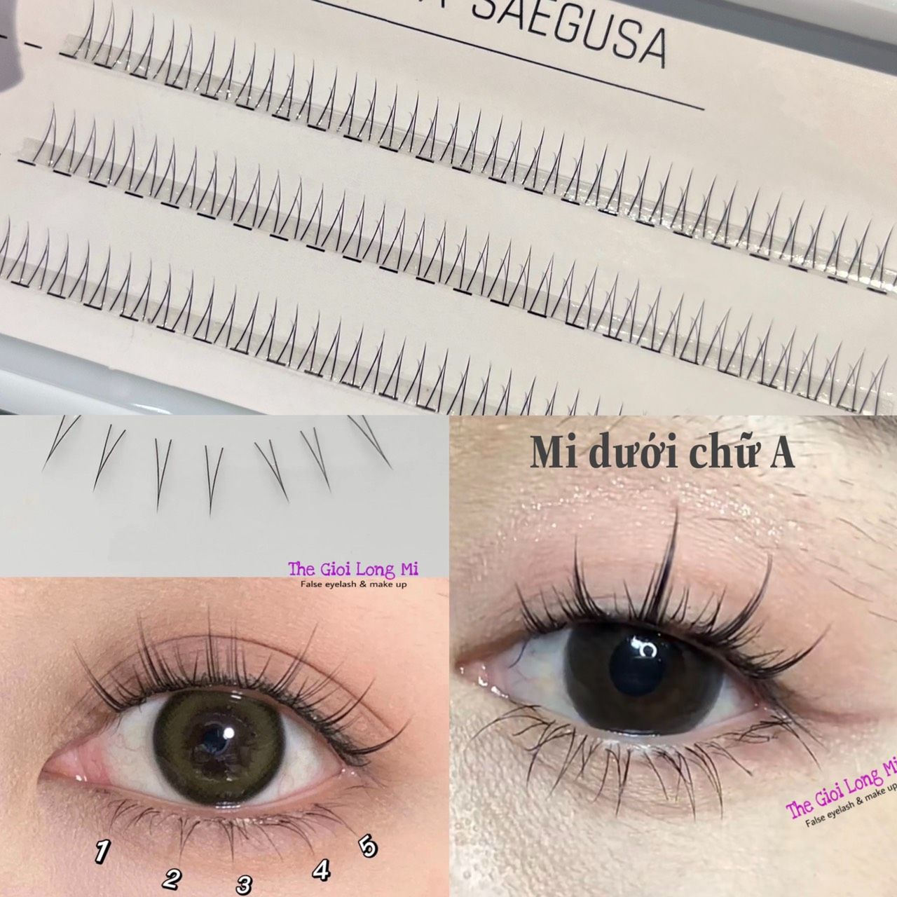 MI DƯỚI TỰ NỐI CHỮ A AYA SAEGUSA