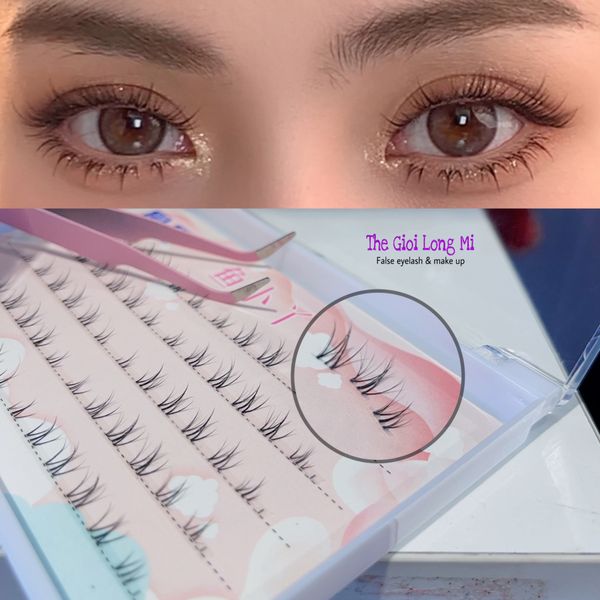 Vu Tiểu Nhã hộp lông mi dưới tự nối tại nhà kiểu dáng 5D vô cùng độc đáo