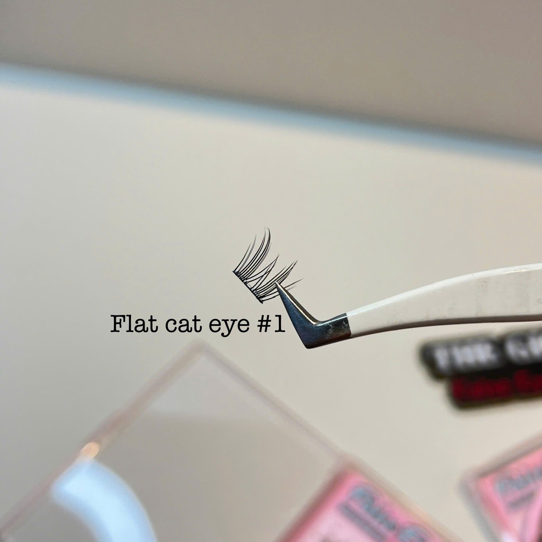 #01 Flat cat eye hộp lông mi giả tự nối có keo sẵn (48 cụm)