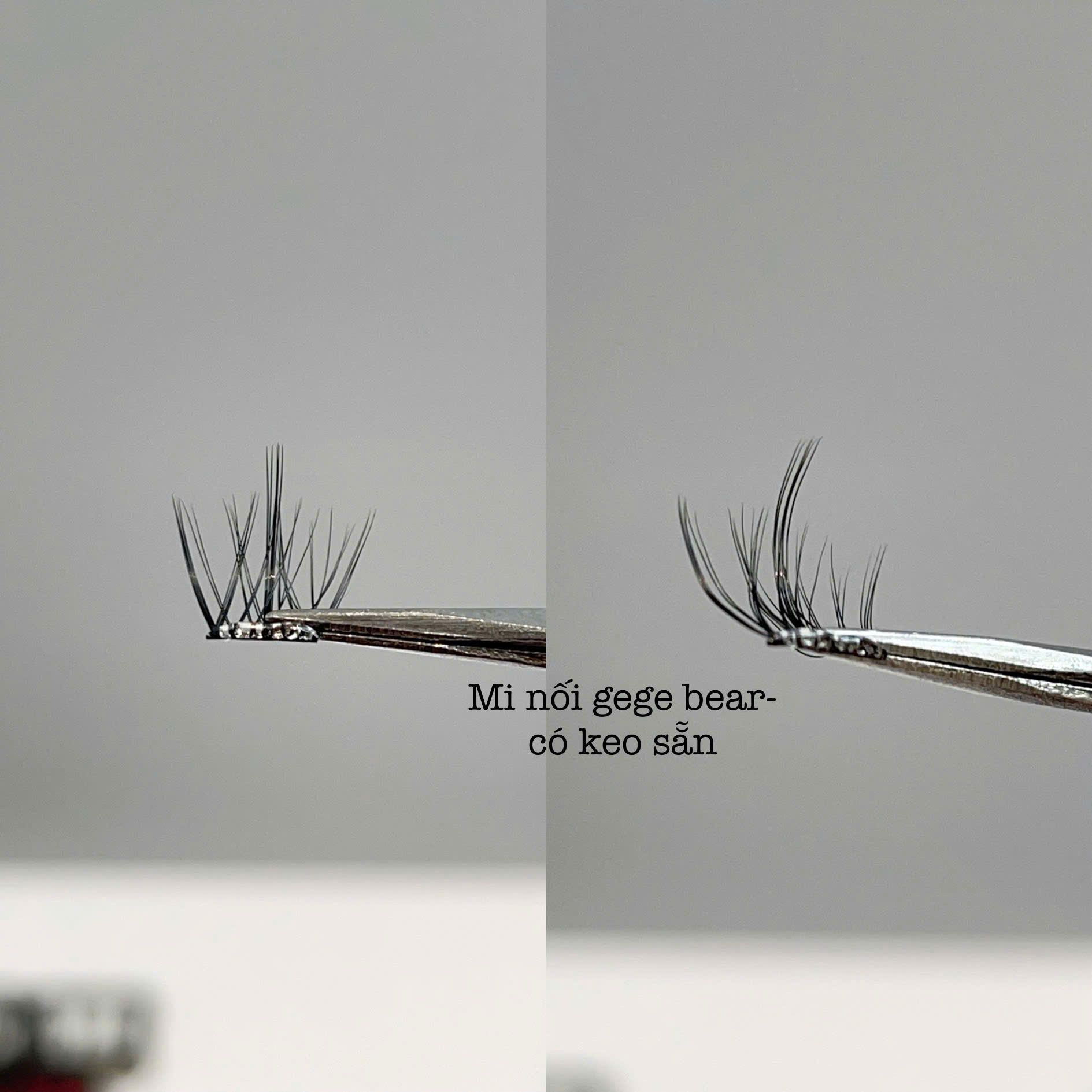 Gege Bear hộp lông mi giả 100 cụm tự nối tại nhà (có keo nối mi sẵn)