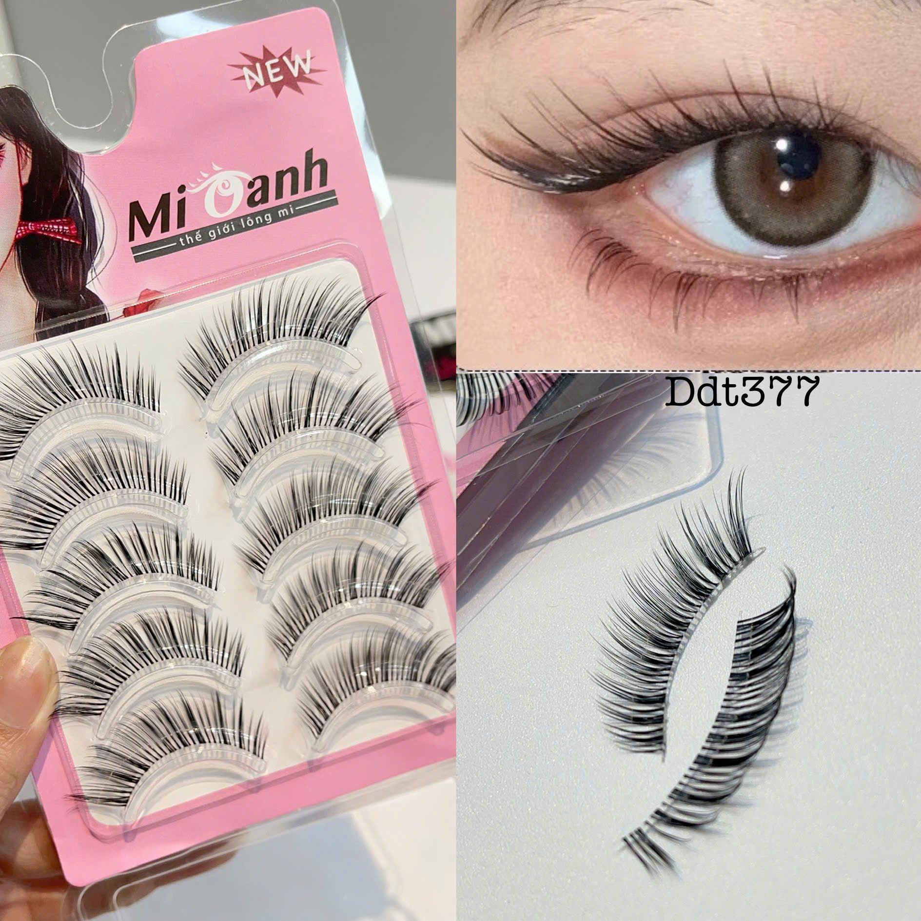 DDT377 hộp lông mi lông chồn 5 cặp thương hiệu Mi Oanh