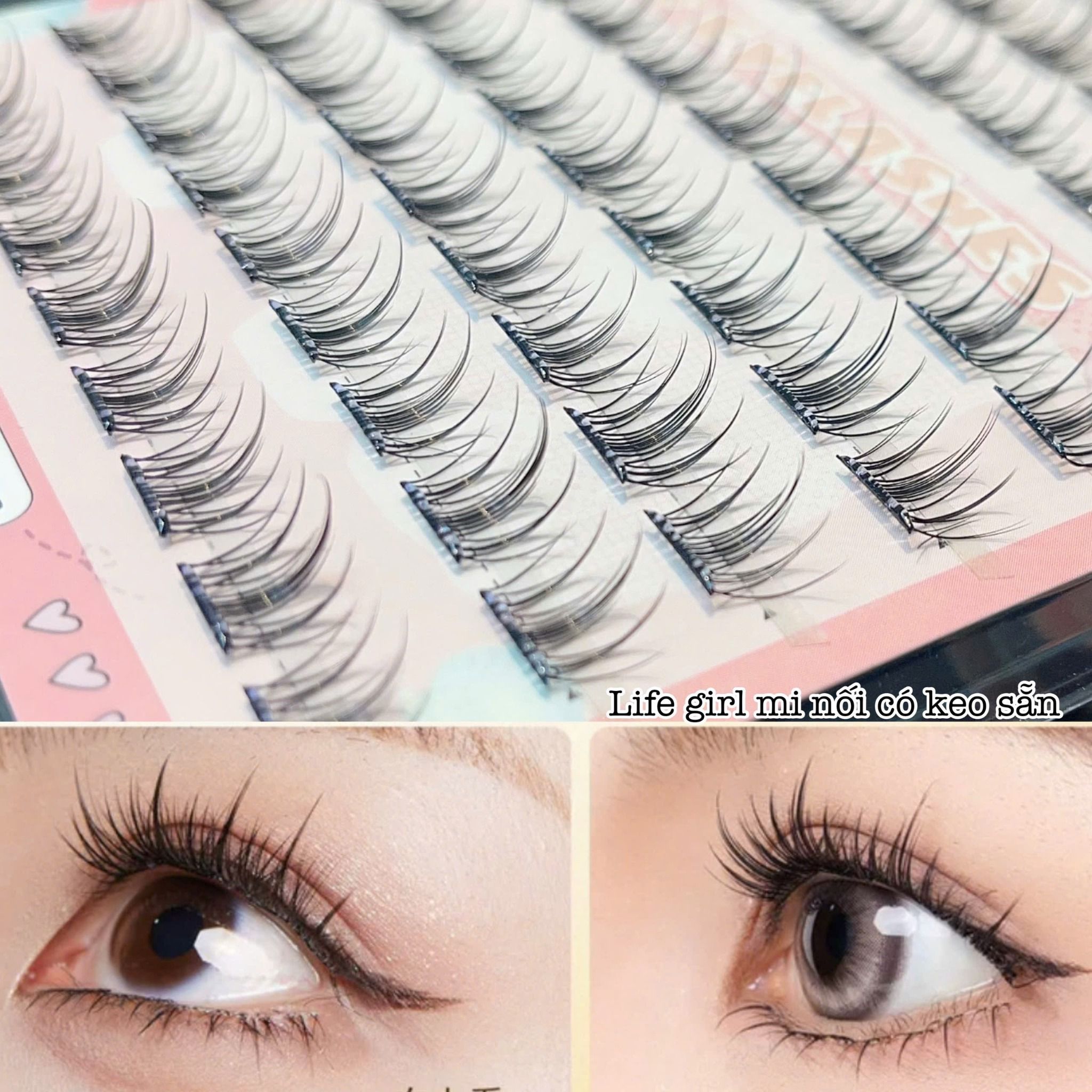 Camellia glue-free false eyelashes thương hiệu Life Girls