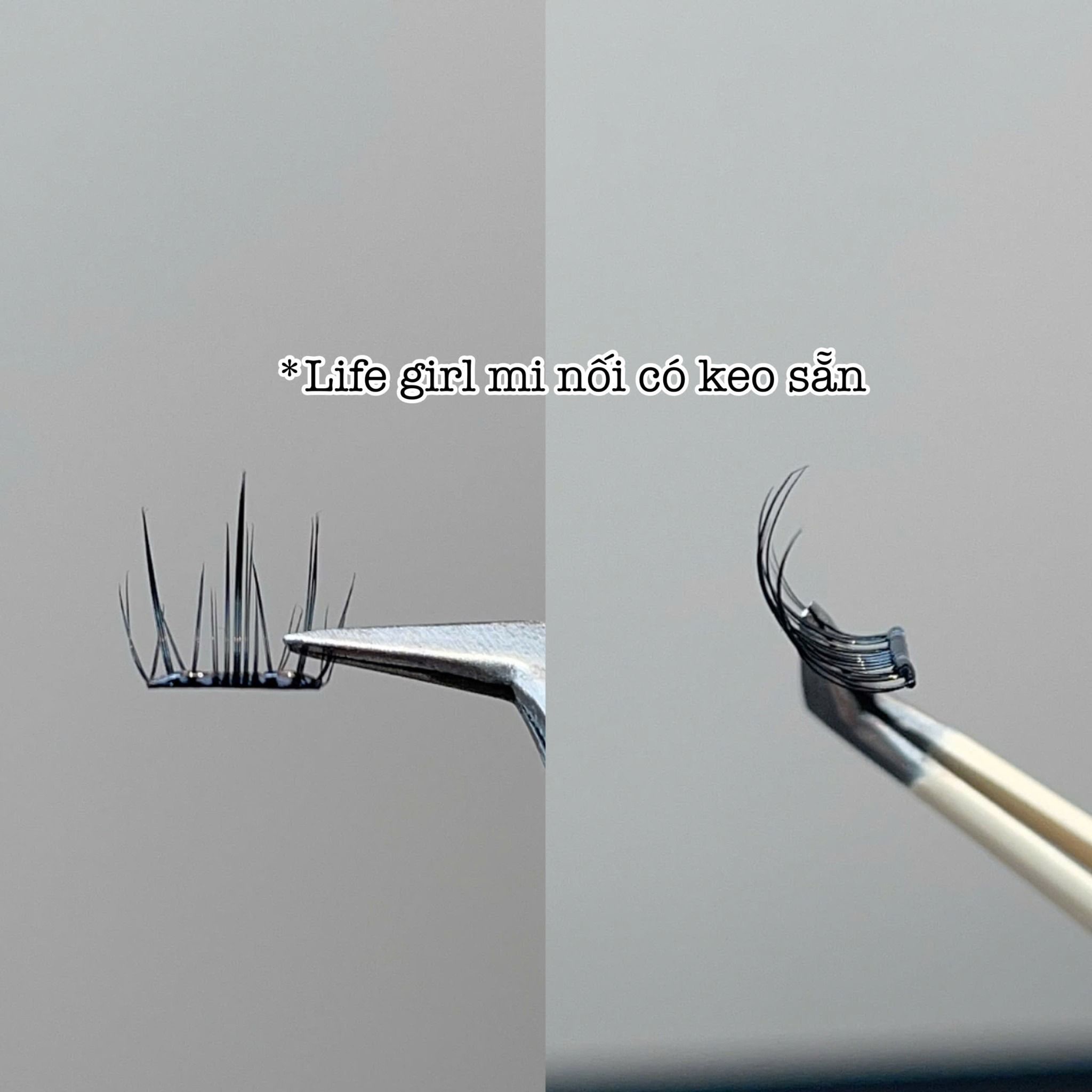 Camellia glue-free false eyelashes thương hiệu Life Girls