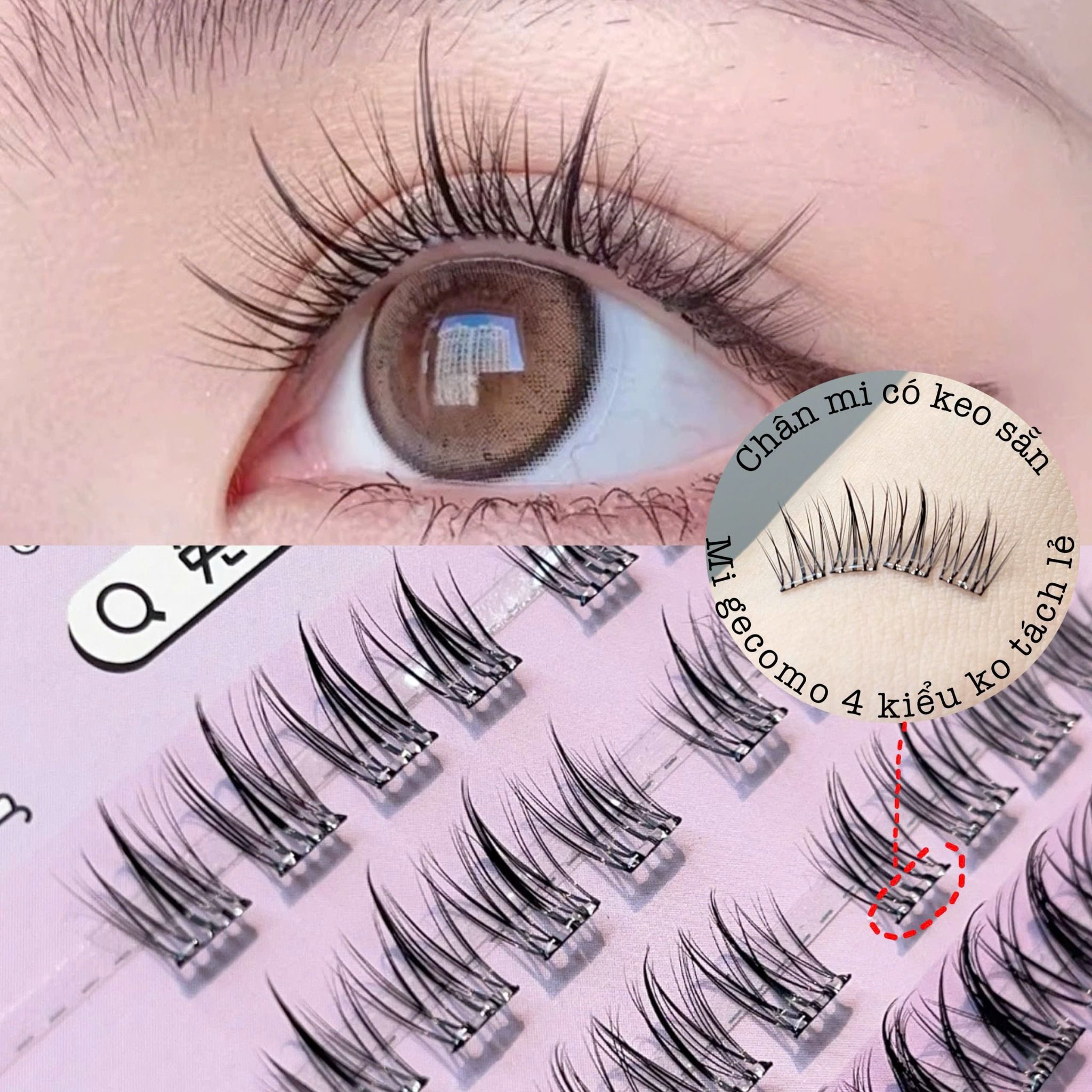 Gecomo hộp lông mi giả tự nối tại nhà với 4 kiểu tiện lợi (có keo sẵn)