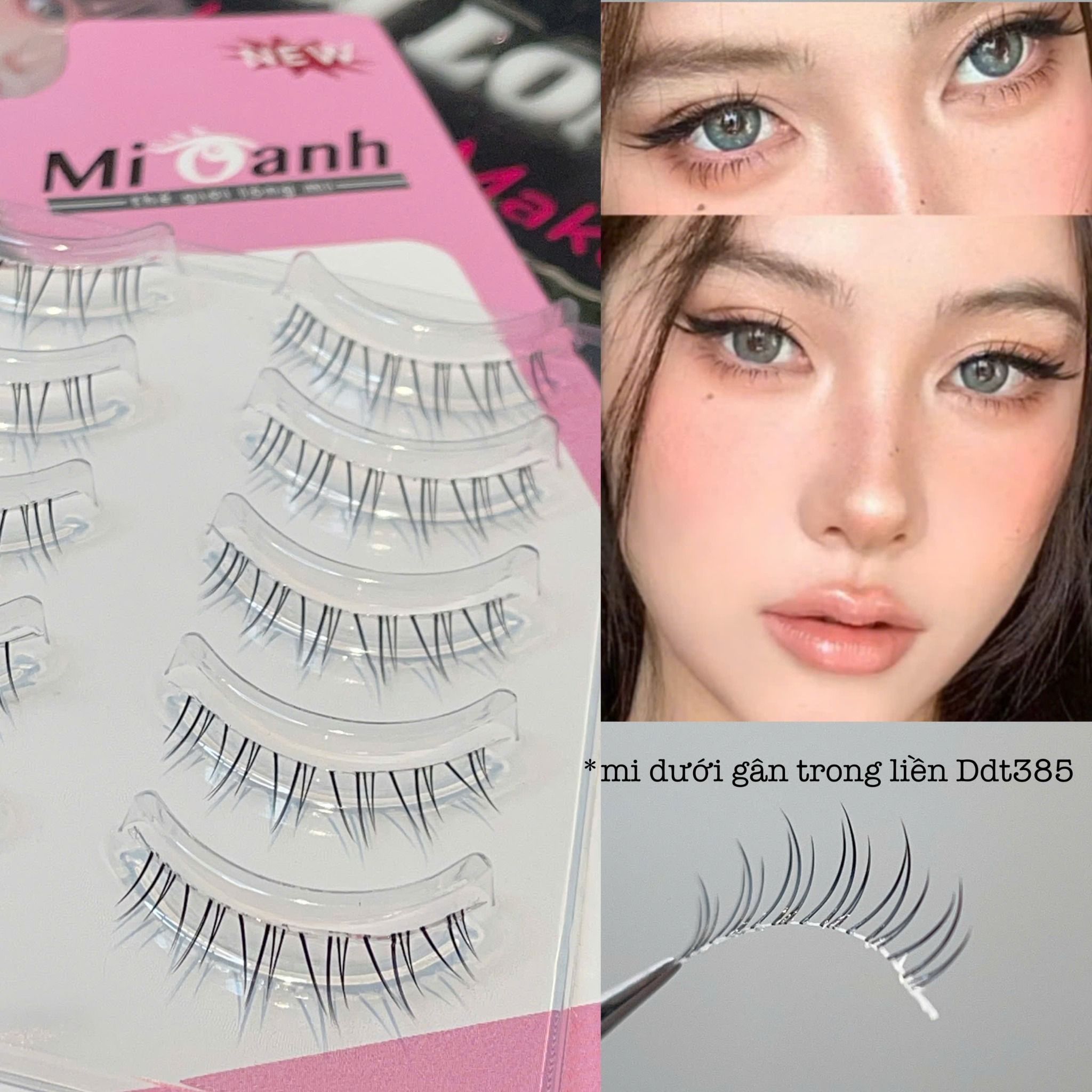 Ddt385 hộp lông mi giả viền gân trong 5 cặp thương hiệu Mi Oanh