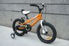 Xe đạp trẻ em RoyalBaby Freestyle size 16 cho bé 4-8 tuổi
