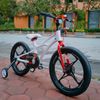 Xe đạp trẻ em RoyalBaby Shuttle size18 cho bé 5-9 tuổi