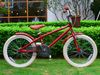 Xe đạp RoyalBaby Macaron Vintage 20 inch
