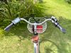 Xe đạp trợ lực điện Miamor E-Honey model 2023