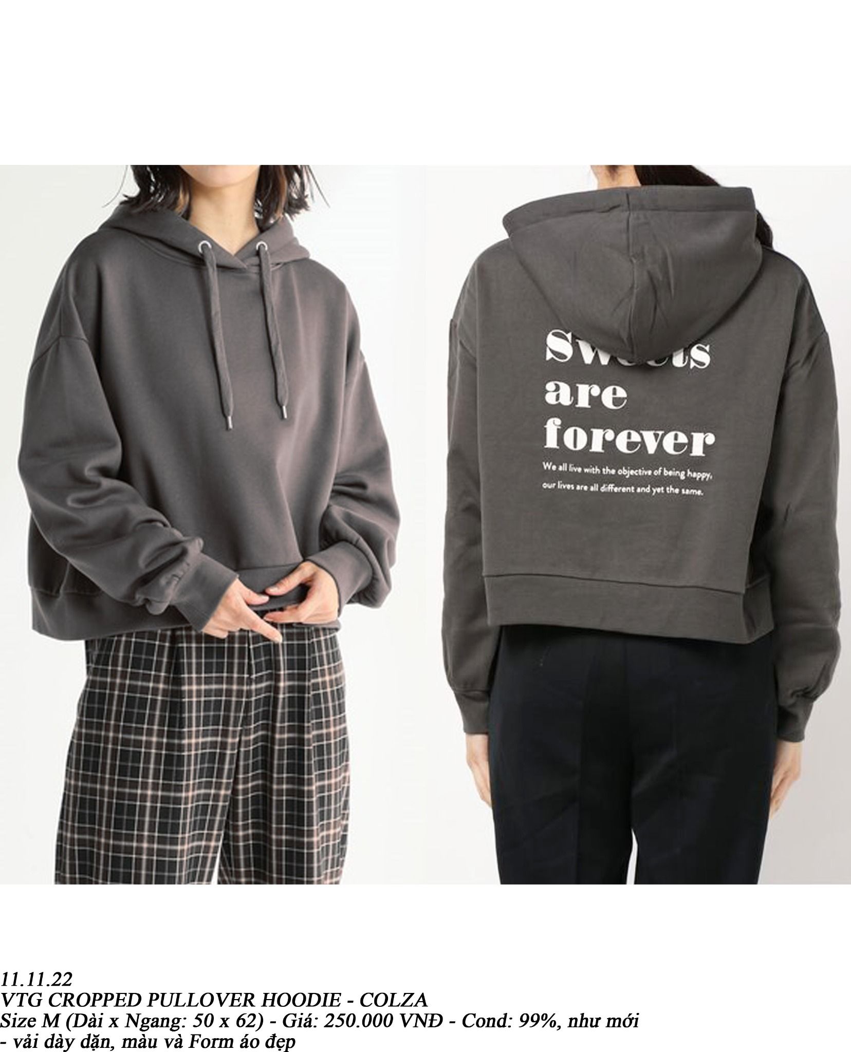 11.11.22 - VTG CROPPED PULLOVER HOODIE - COLZA