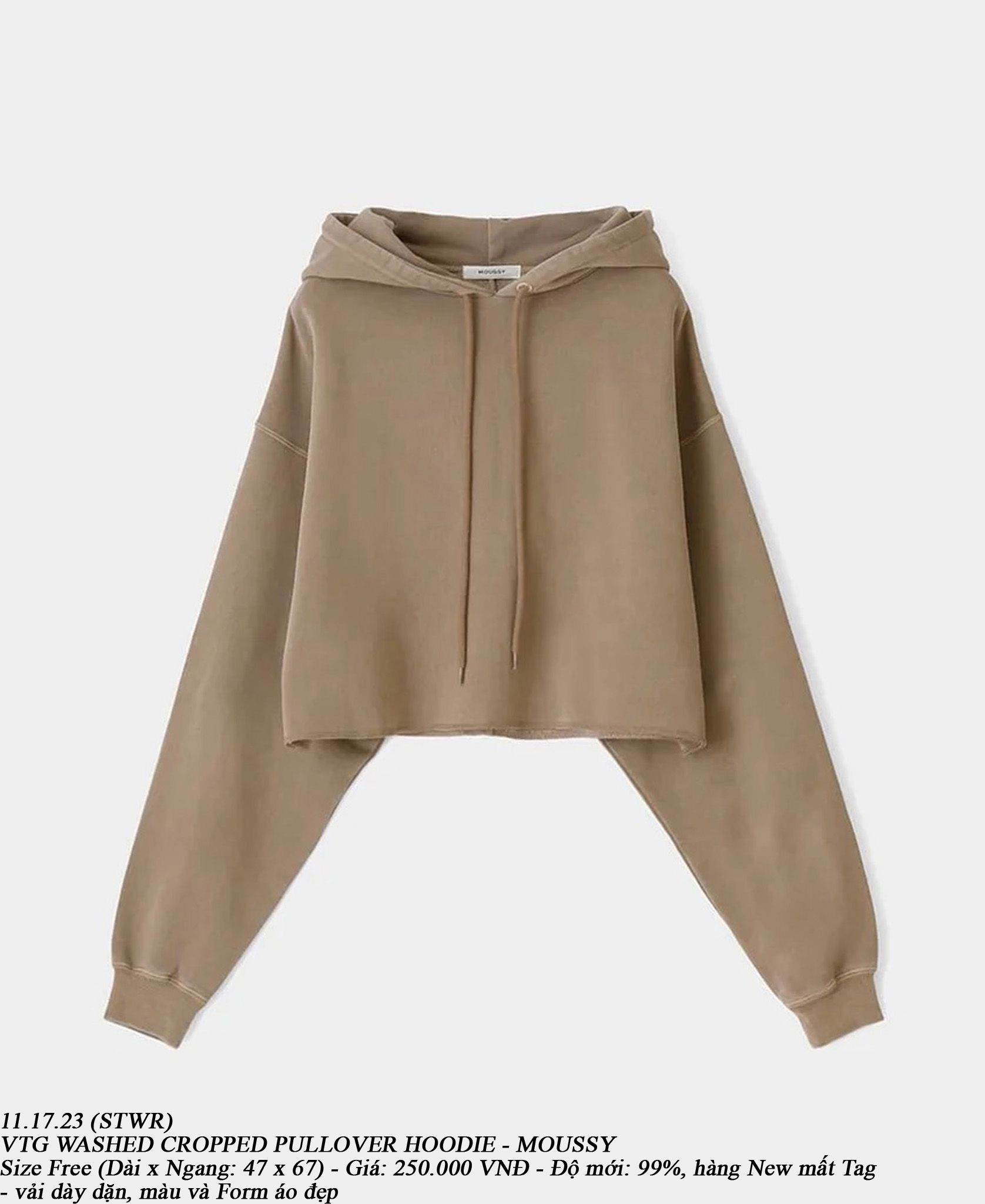 11.17.23 - VTG WASHED CROPPED PULLOVER HOODIE - MOUSSY