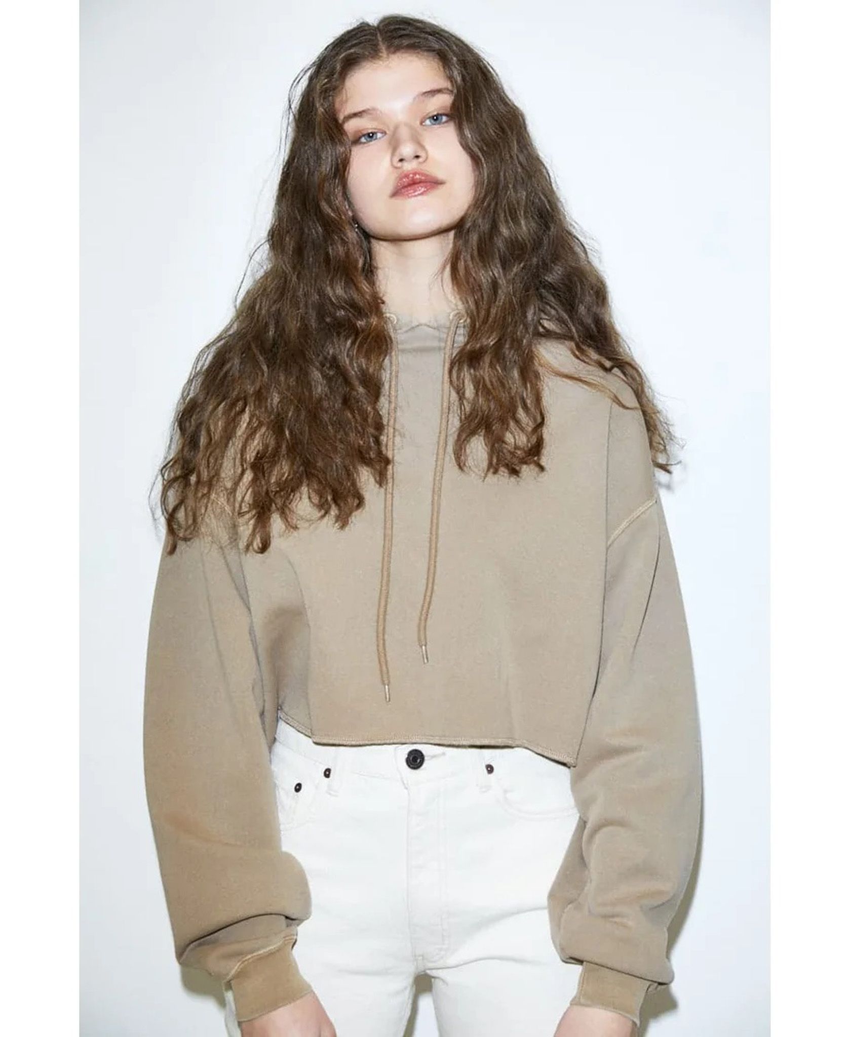 11.17.23 - VTG WASHED CROPPED PULLOVER HOODIE - MOUSSY