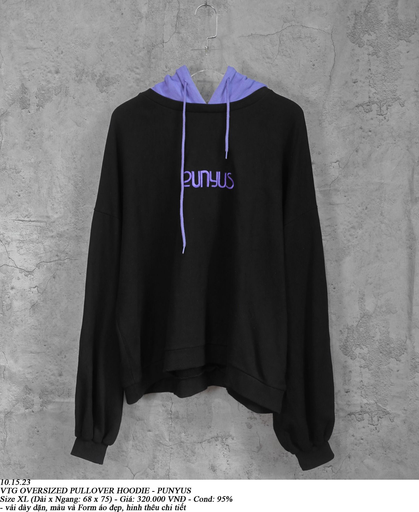 10.15.23 - VTG OVERSIZED PULLOVER HOODIE - PUNYUS