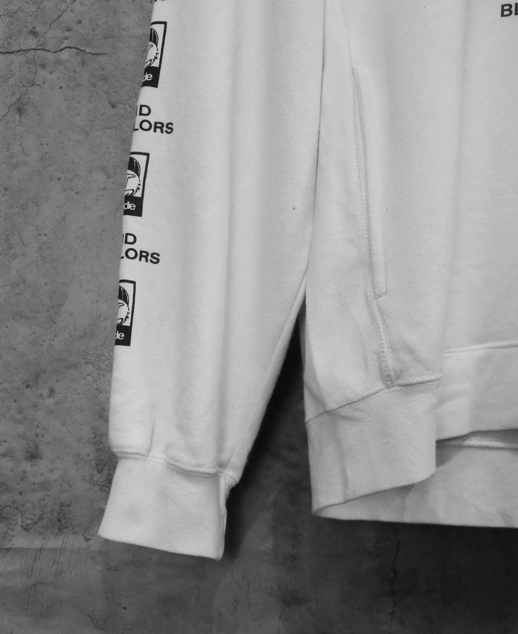 10.15.23 - VTG PULLOVER HOODIE - B ONE SOUL